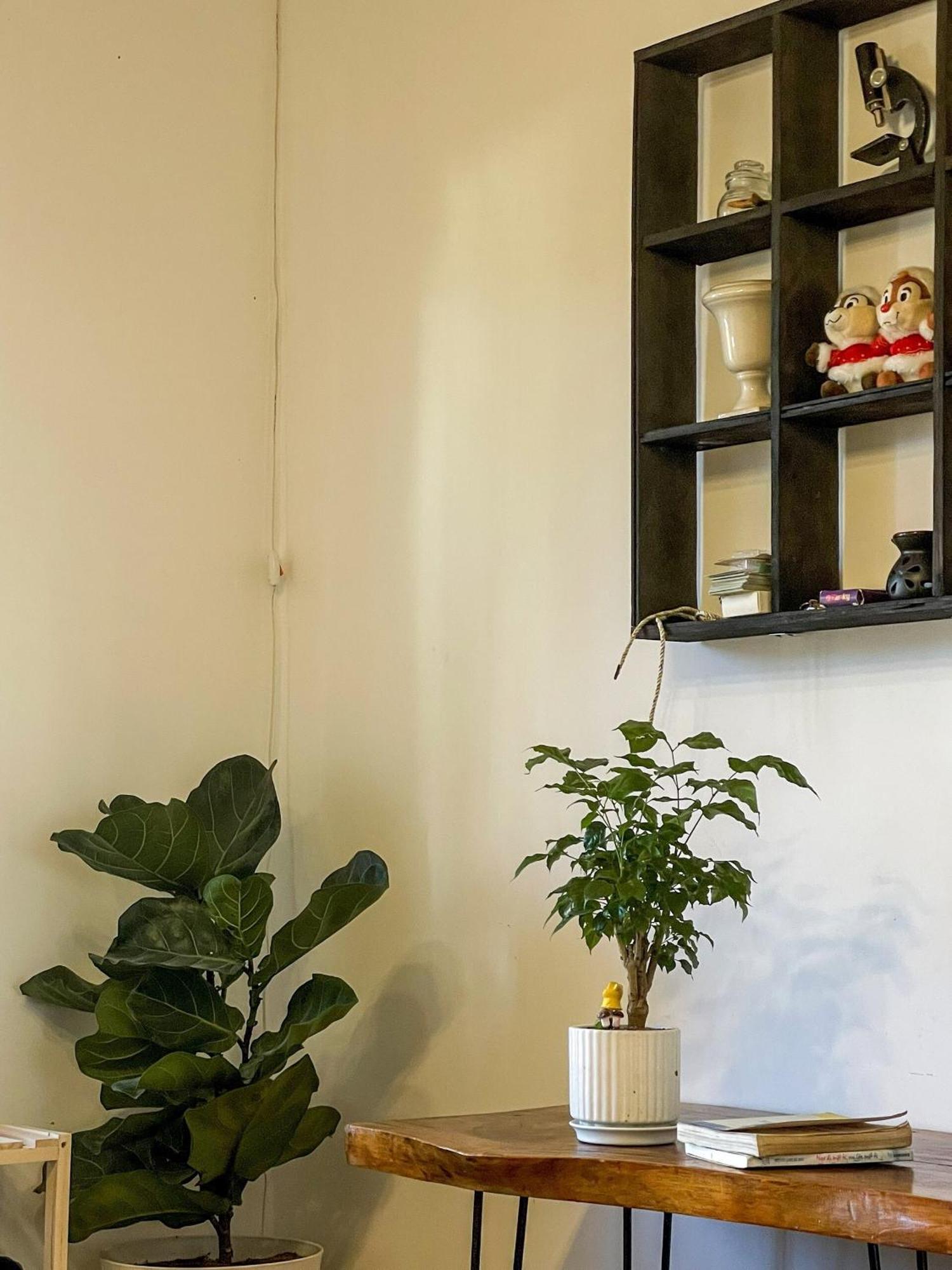 Hat De Homestay Νταλάτ Εξωτερικό φωτογραφία