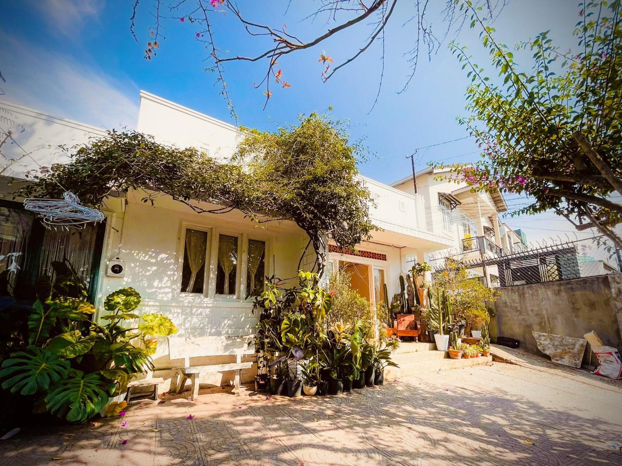 Hat De Homestay Νταλάτ Εξωτερικό φωτογραφία