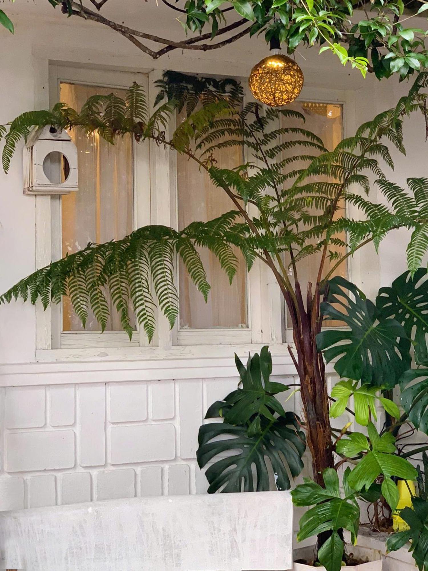 Hat De Homestay Νταλάτ Εξωτερικό φωτογραφία
