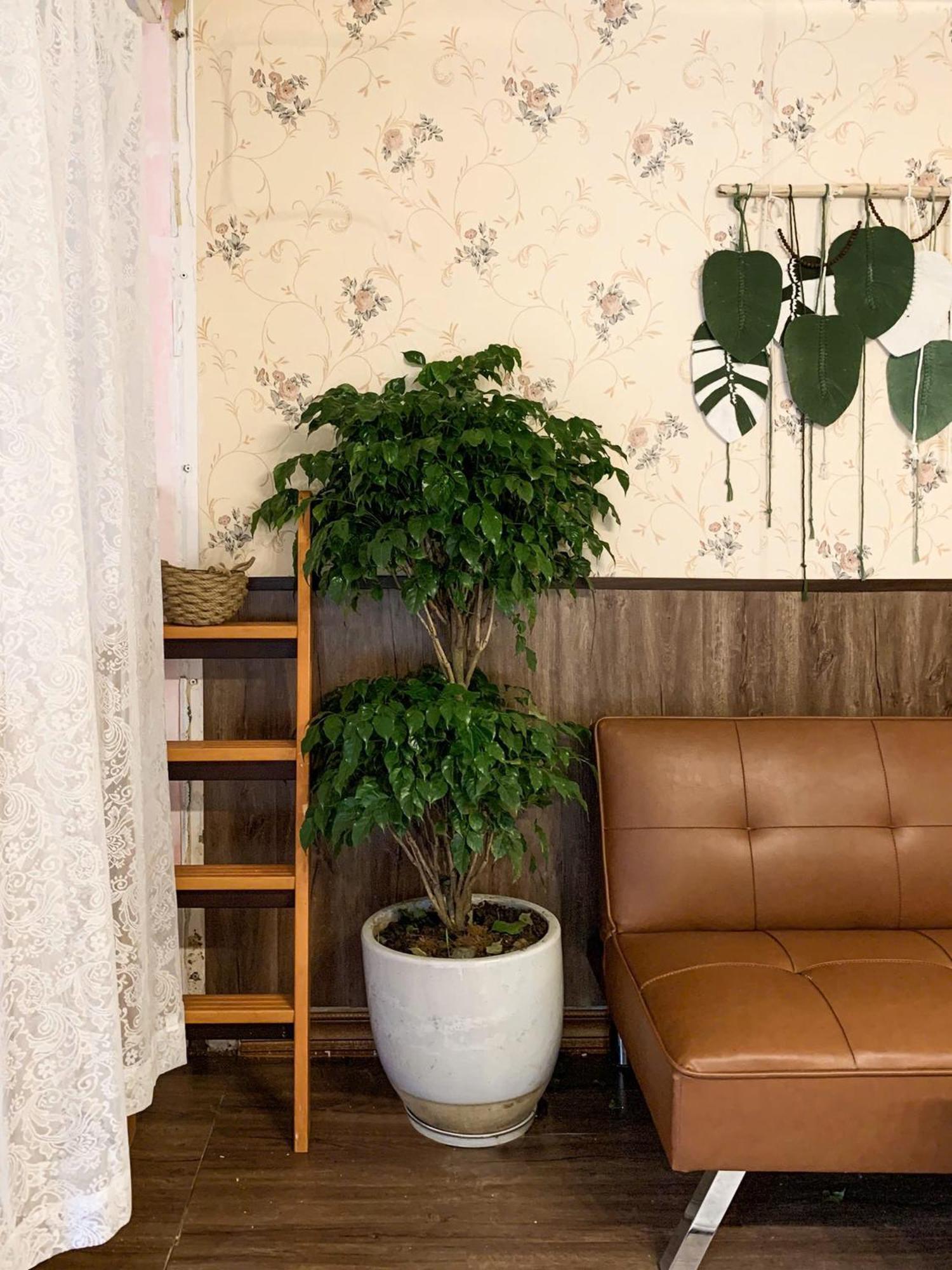 Hat De Homestay Νταλάτ Εξωτερικό φωτογραφία